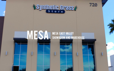 mesa