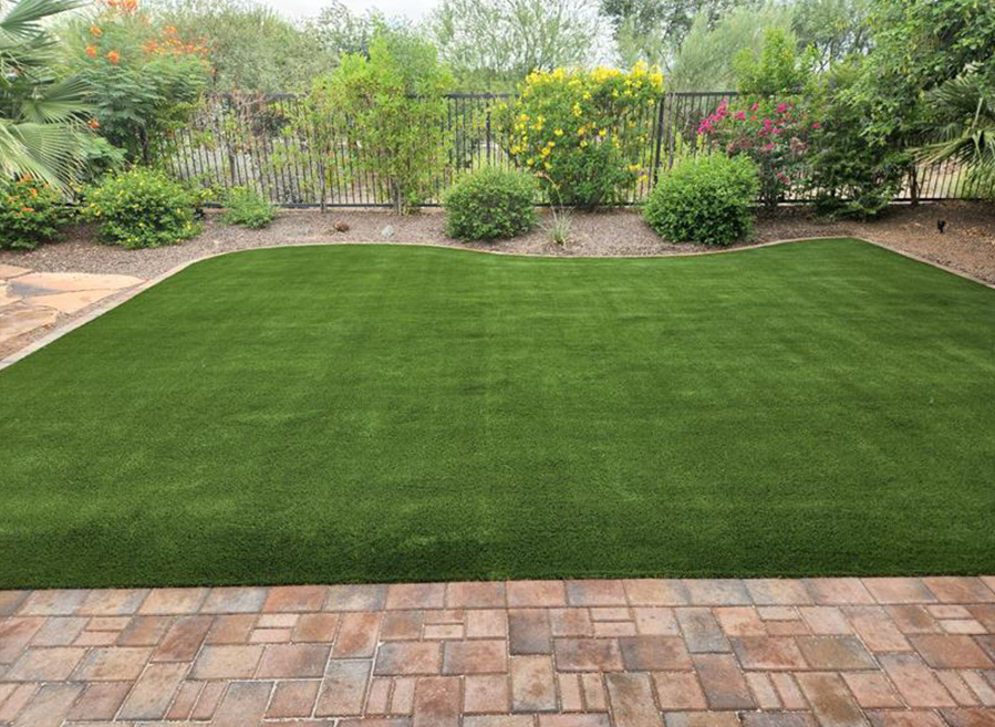 Arizona Artificial Turf Back yard