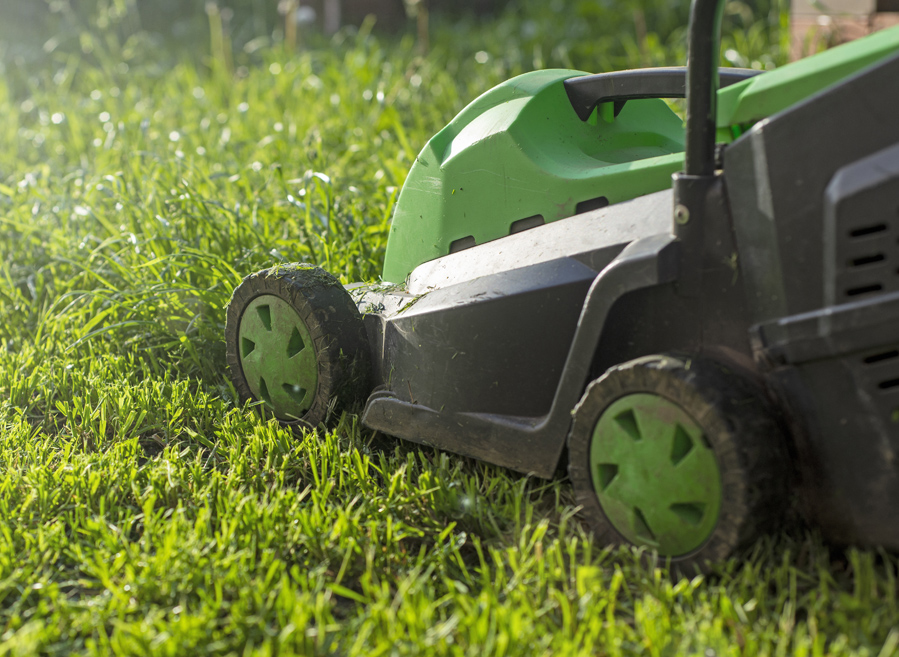 lawn mower artificial turf