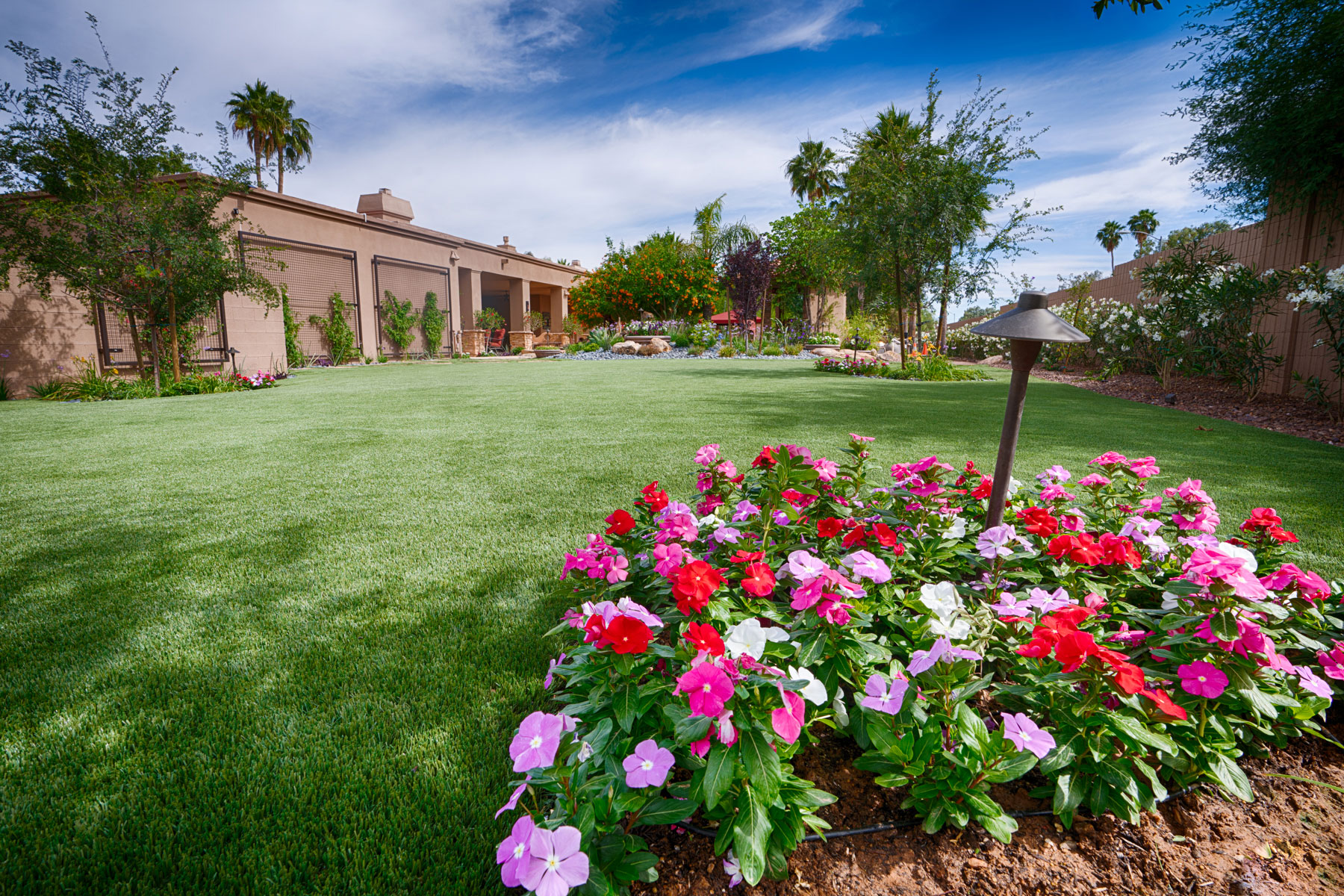 Large-Lawn-Looking-Into-House